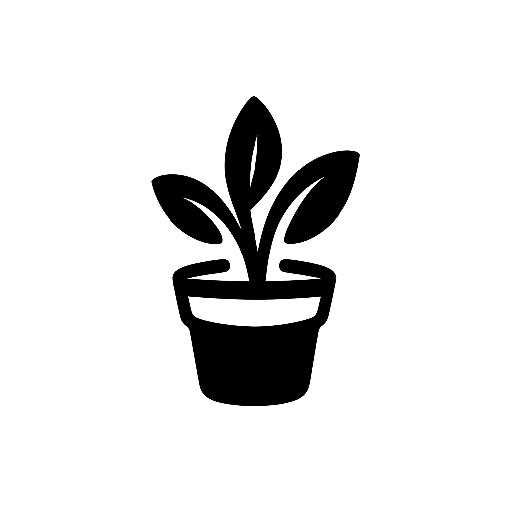KAPAZ! Gestão e Serviços